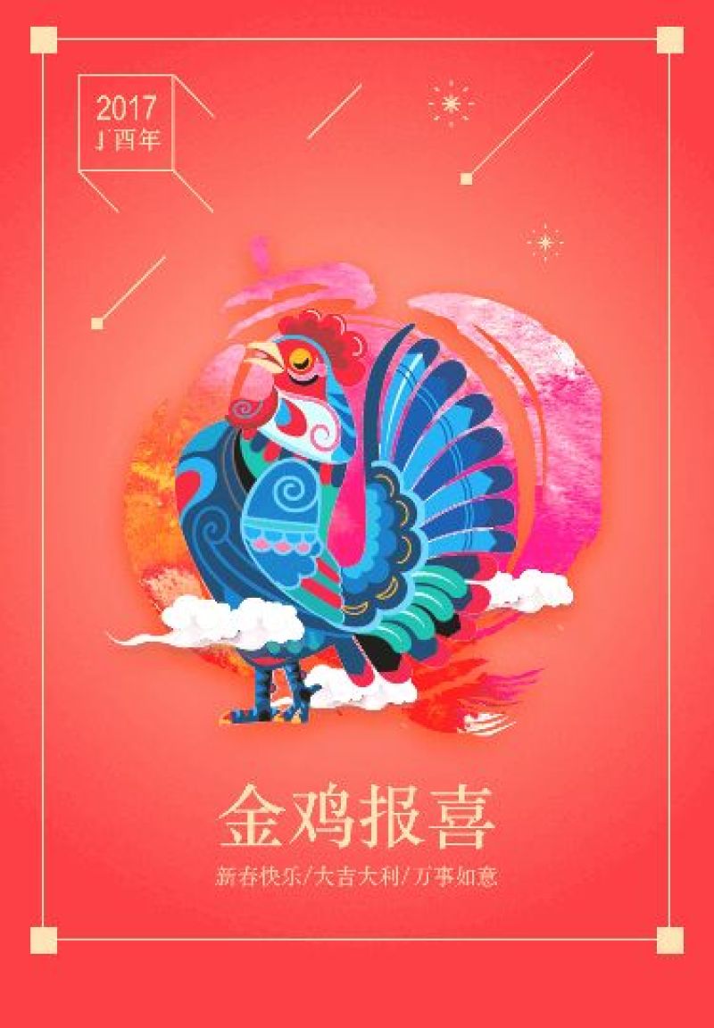 德系獭兔獭兔种兔
