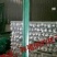 荷兰网50*50mm
