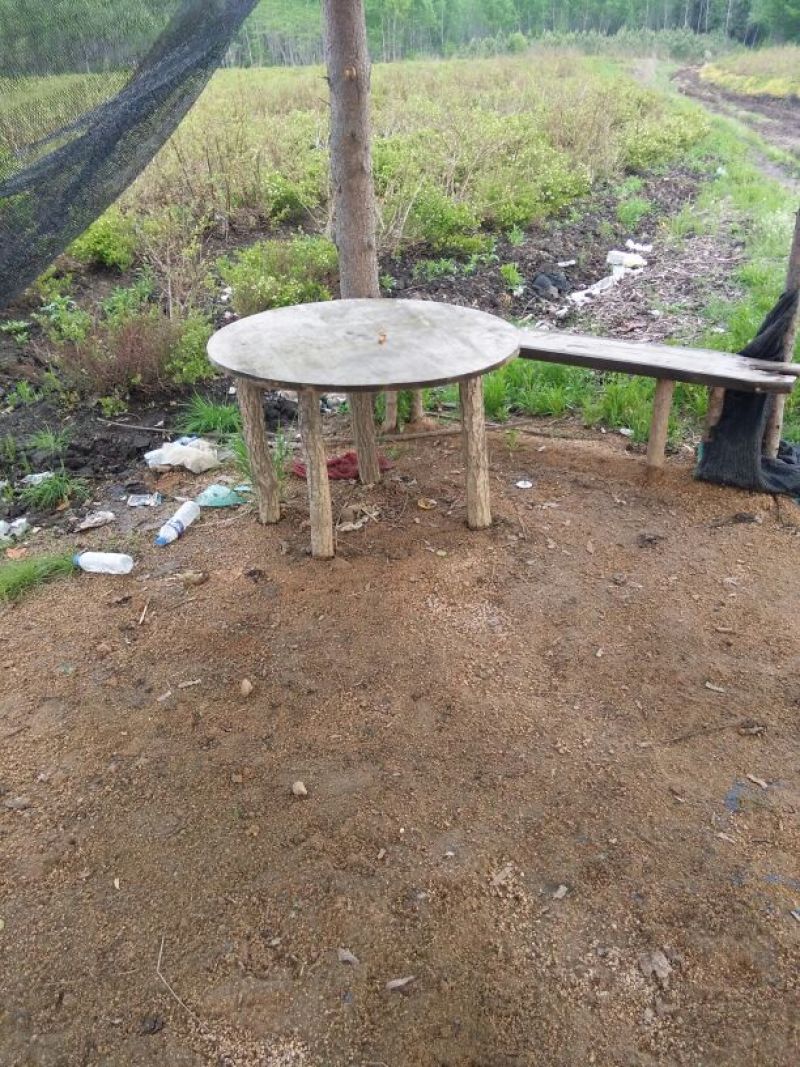 蓝莓鲜果4~6mm以上