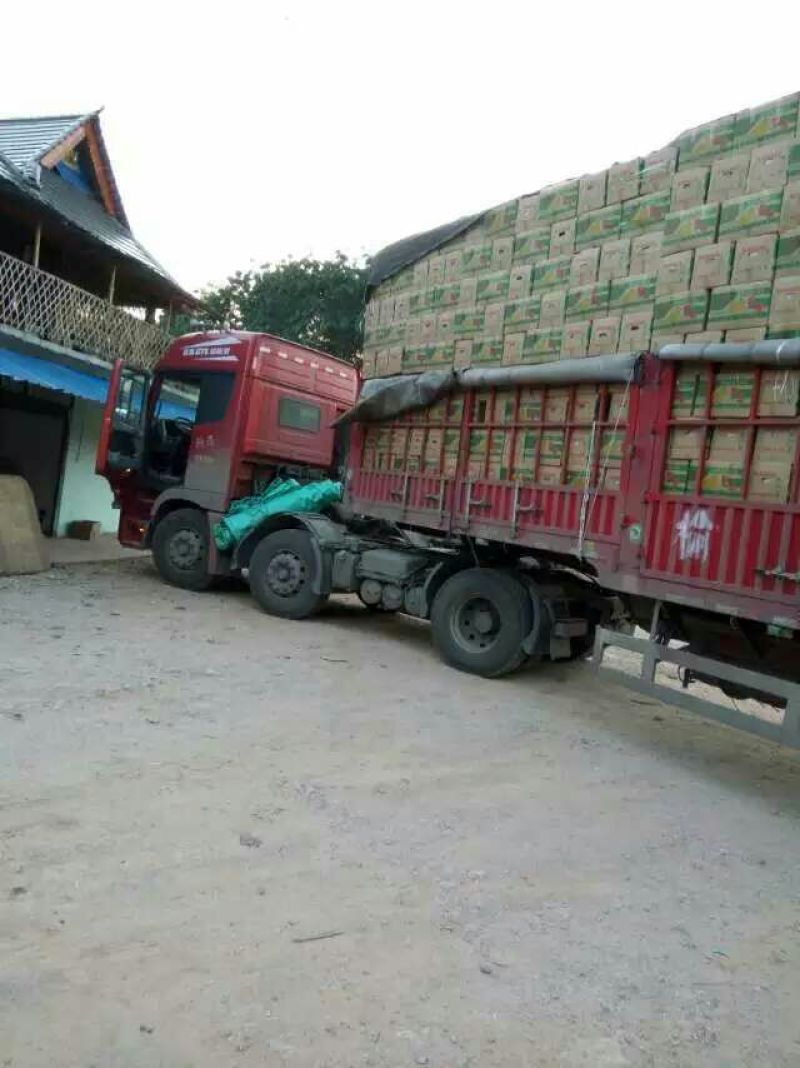 香蕉七成熟