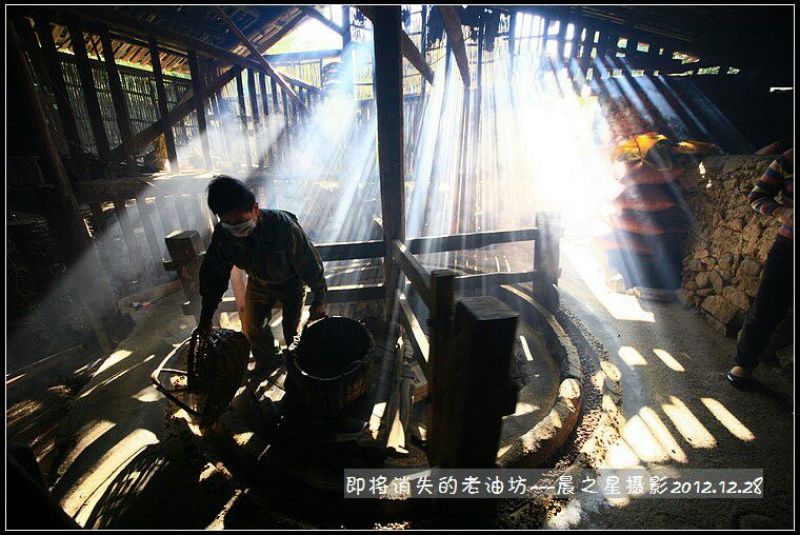 粮油作物