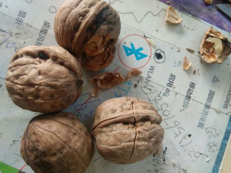 绵核桃去皮干