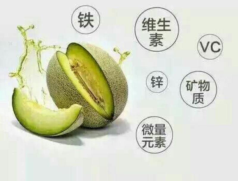 网纹瓜3斤以上椭圆形