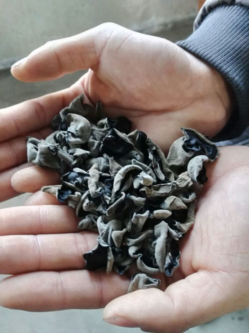 黑山秋耳一级
