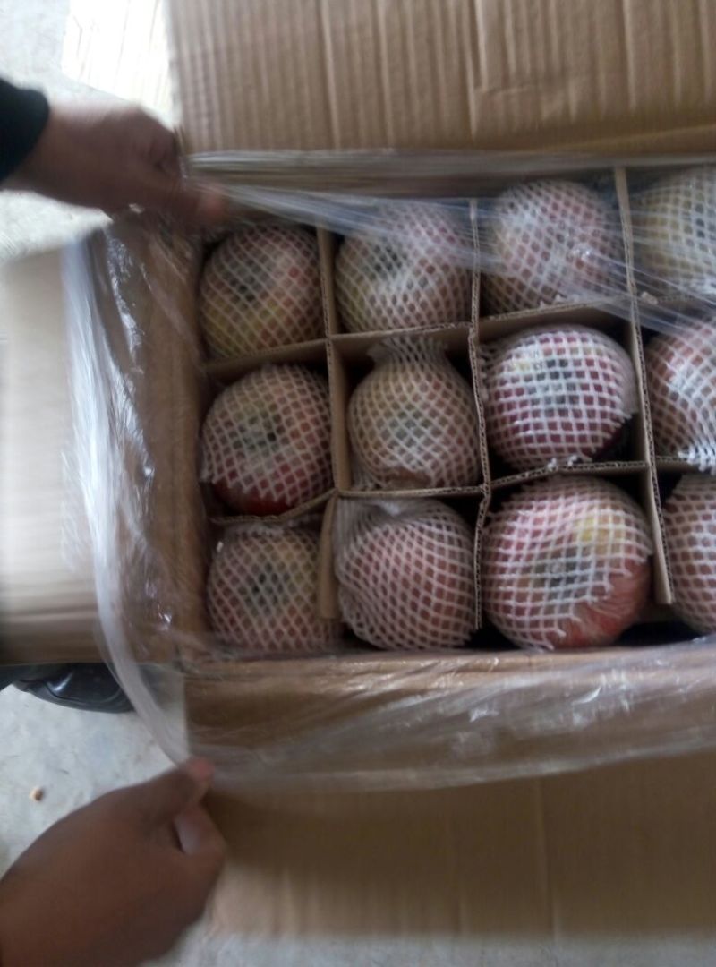 红富士苹果75mm以上膜袋新鲜上市，小黑框，大铁框