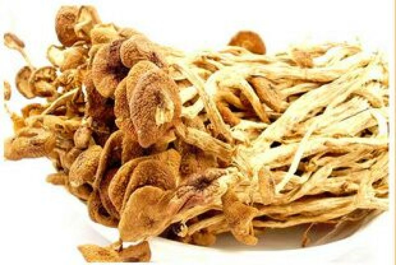 干金针菇10~15厘米干度有保证，畅销产品！！