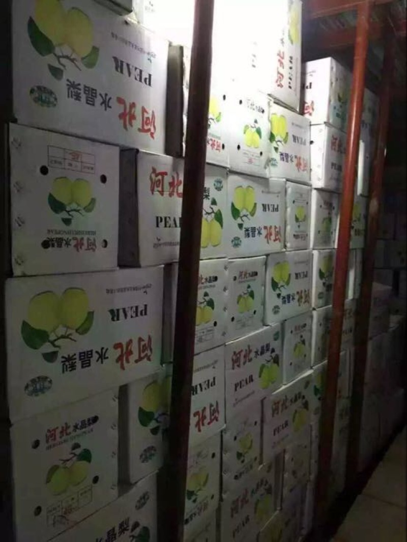 雪花梨