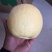 贡梨