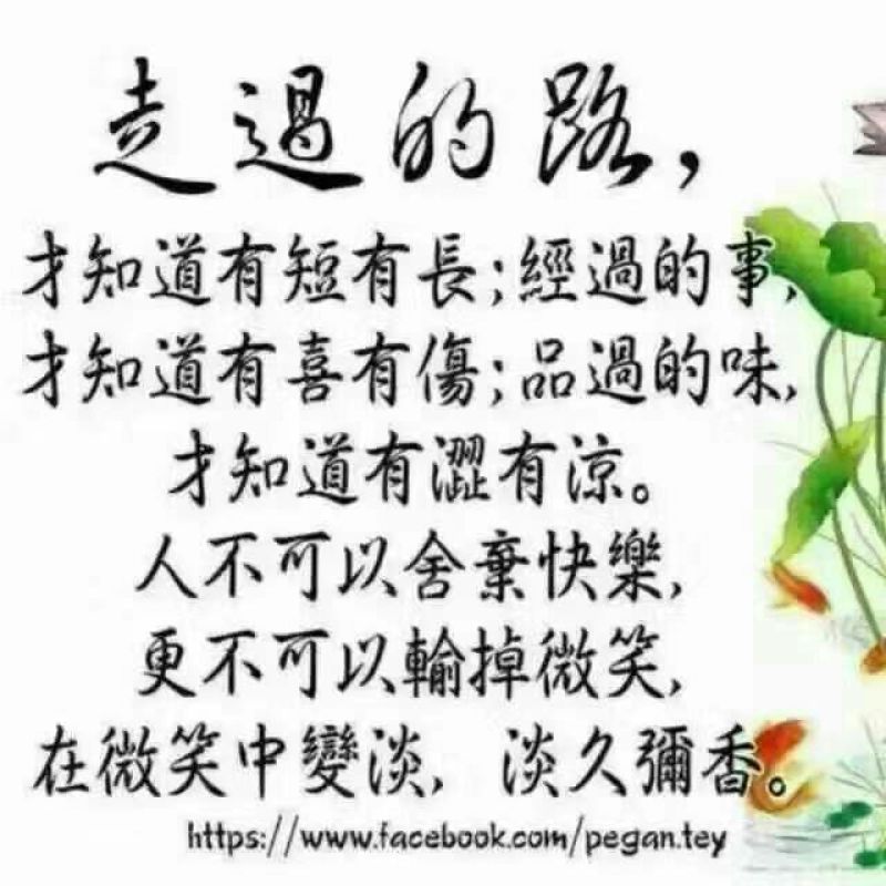白面菇3~4cm