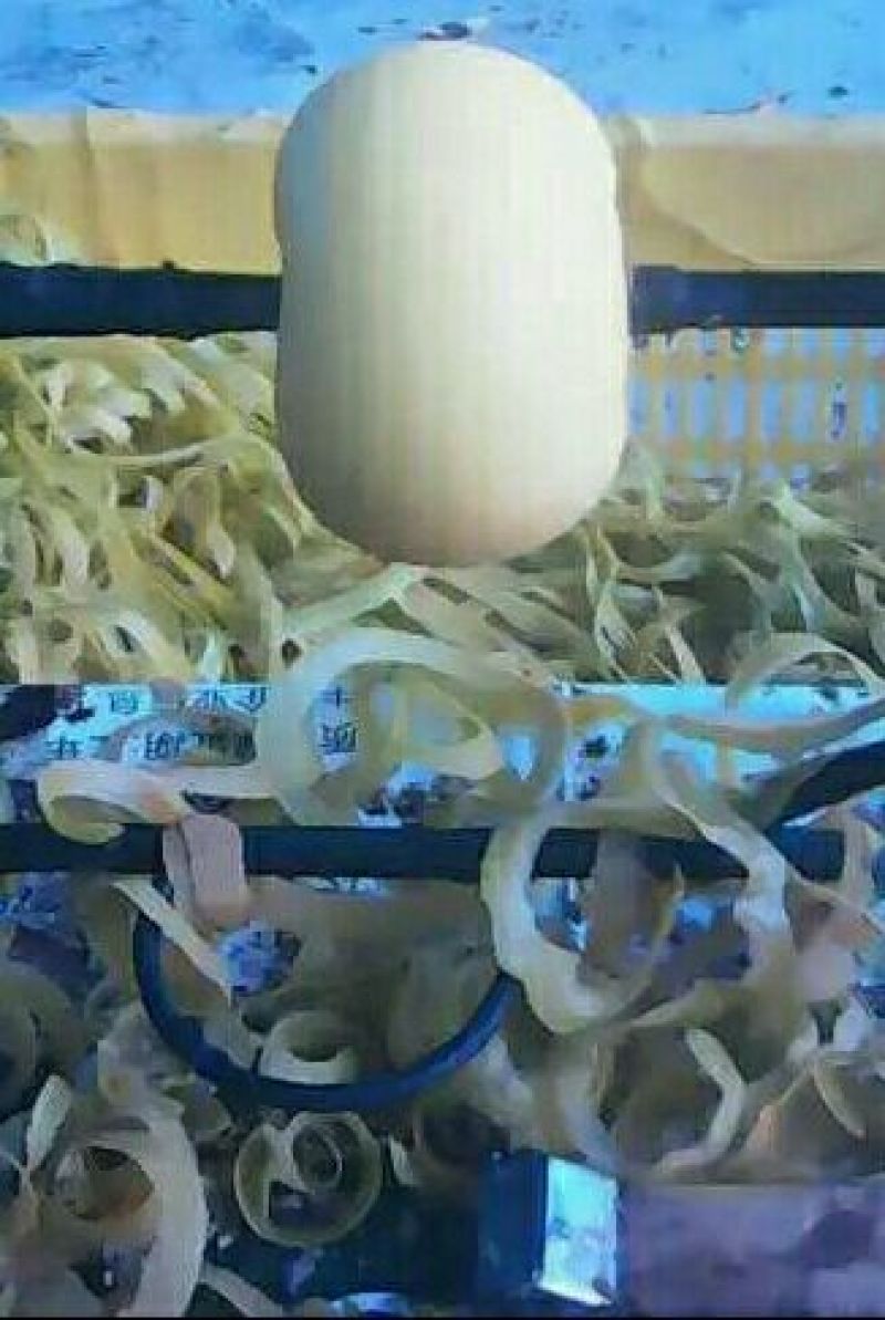 柿饼1~2两