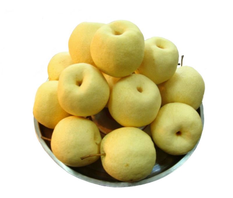 砀山梨250~300g筐装