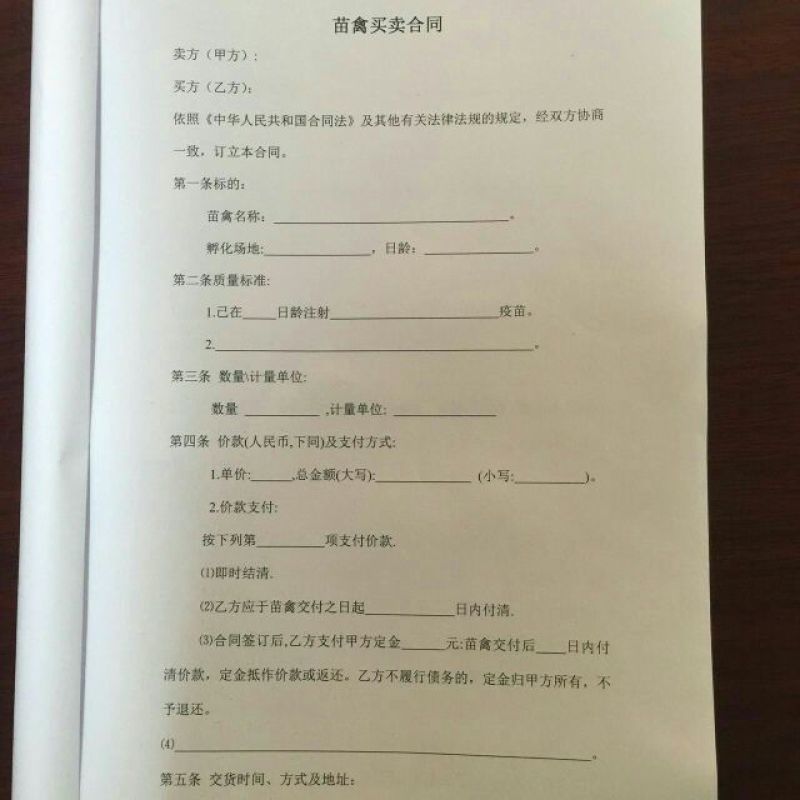 狮头鹅苗250g以上