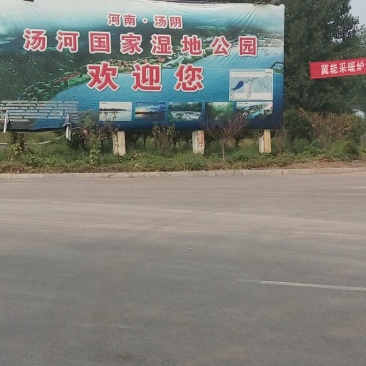 晚秋黄梨350~400g纸箱