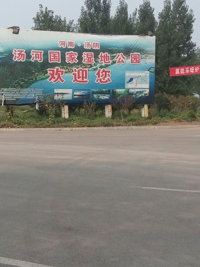 晚秋黄梨350~400g纸箱