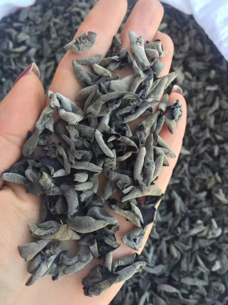 黑木耳一级