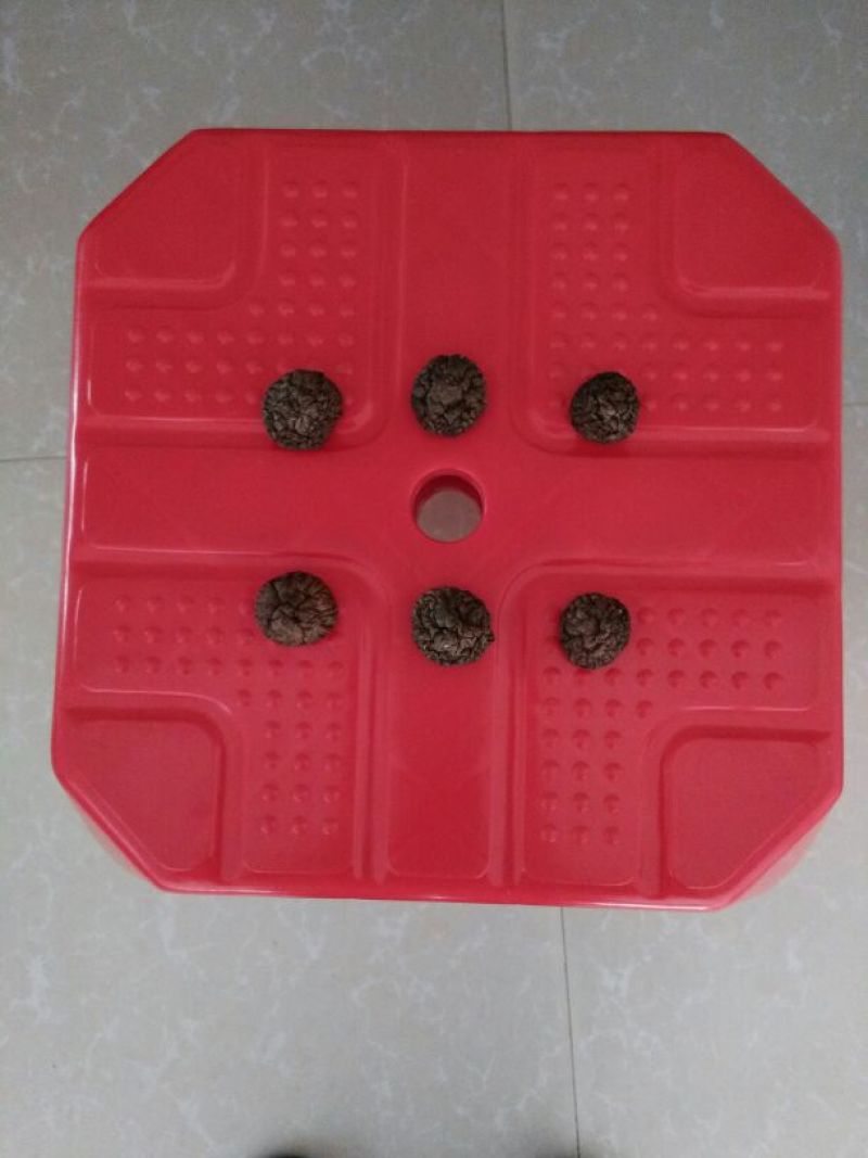 干香菇