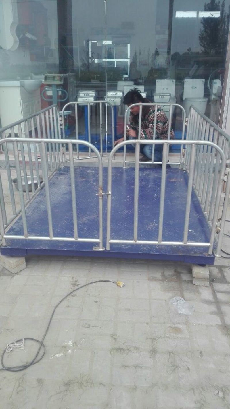 地磅15000kg