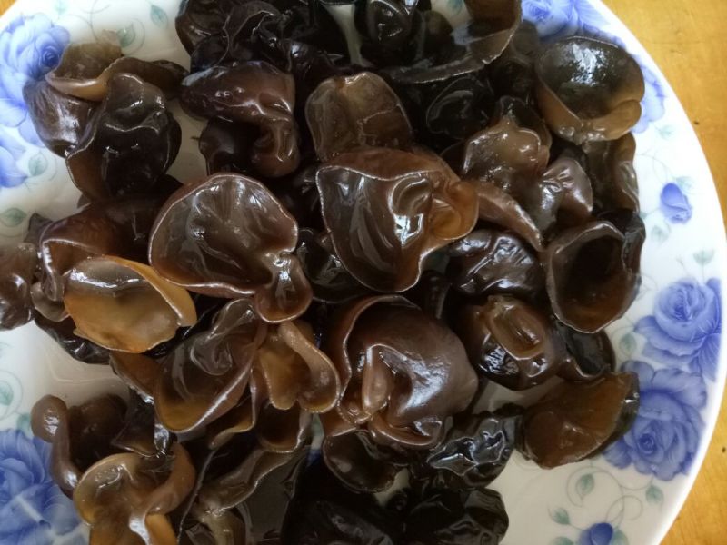 干木耳一级
