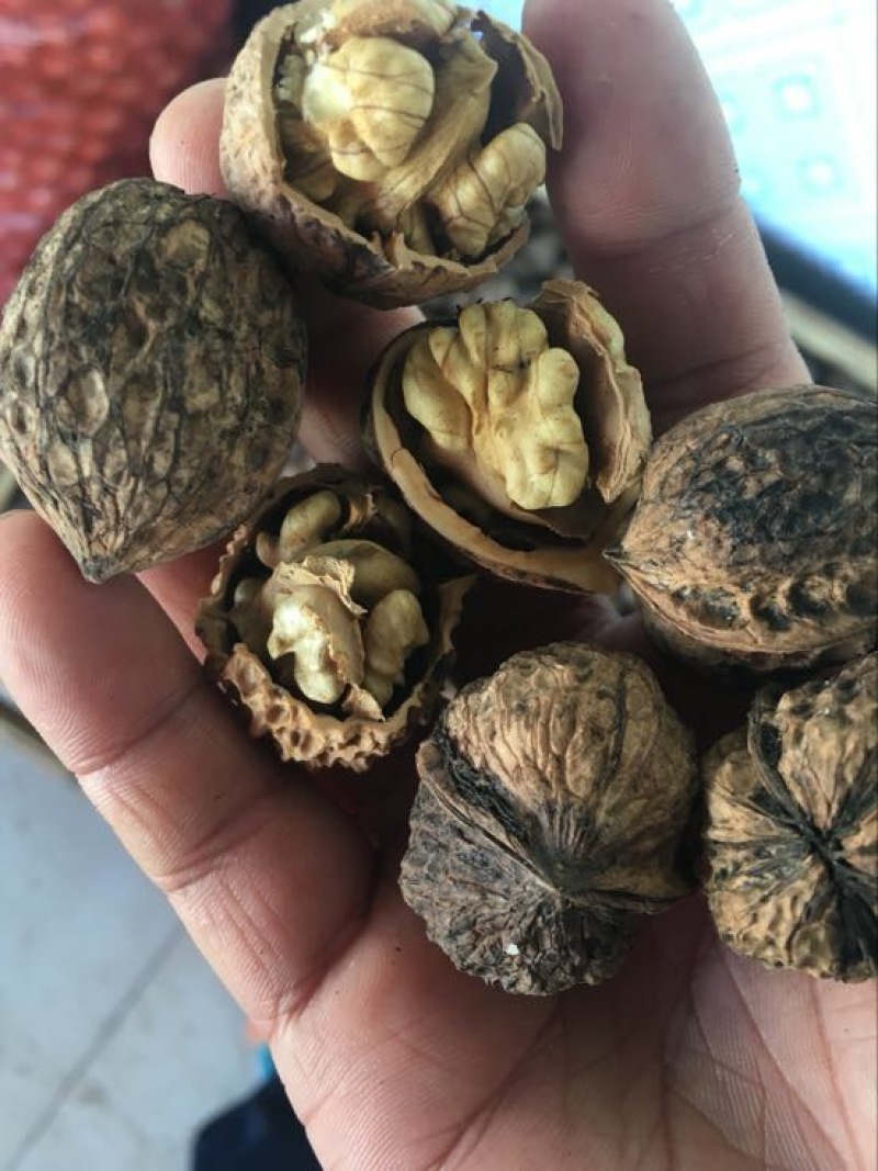 薄皮核桃去皮干