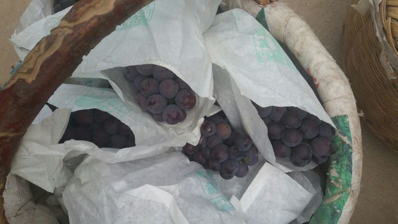 户太八号葡萄，礼泉县精品户太八号葡萄己经大量上市