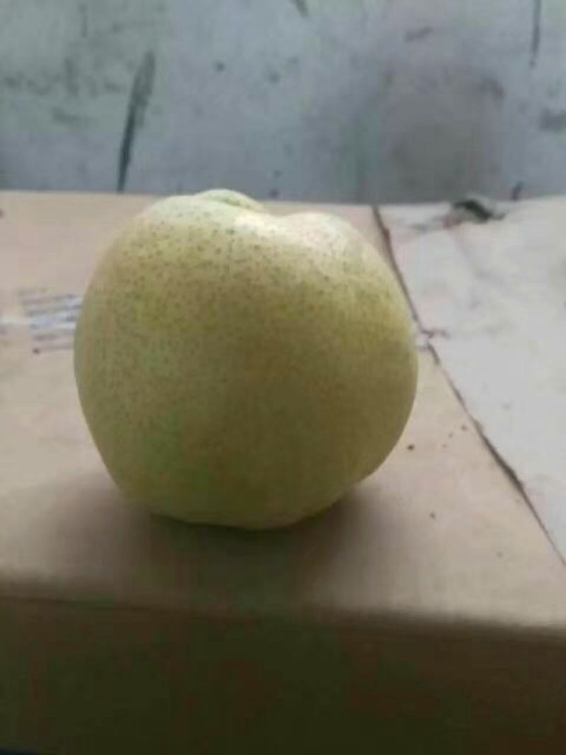砀山梨350~400g纸箱