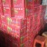 库尔勒香梨60~100g55mm母