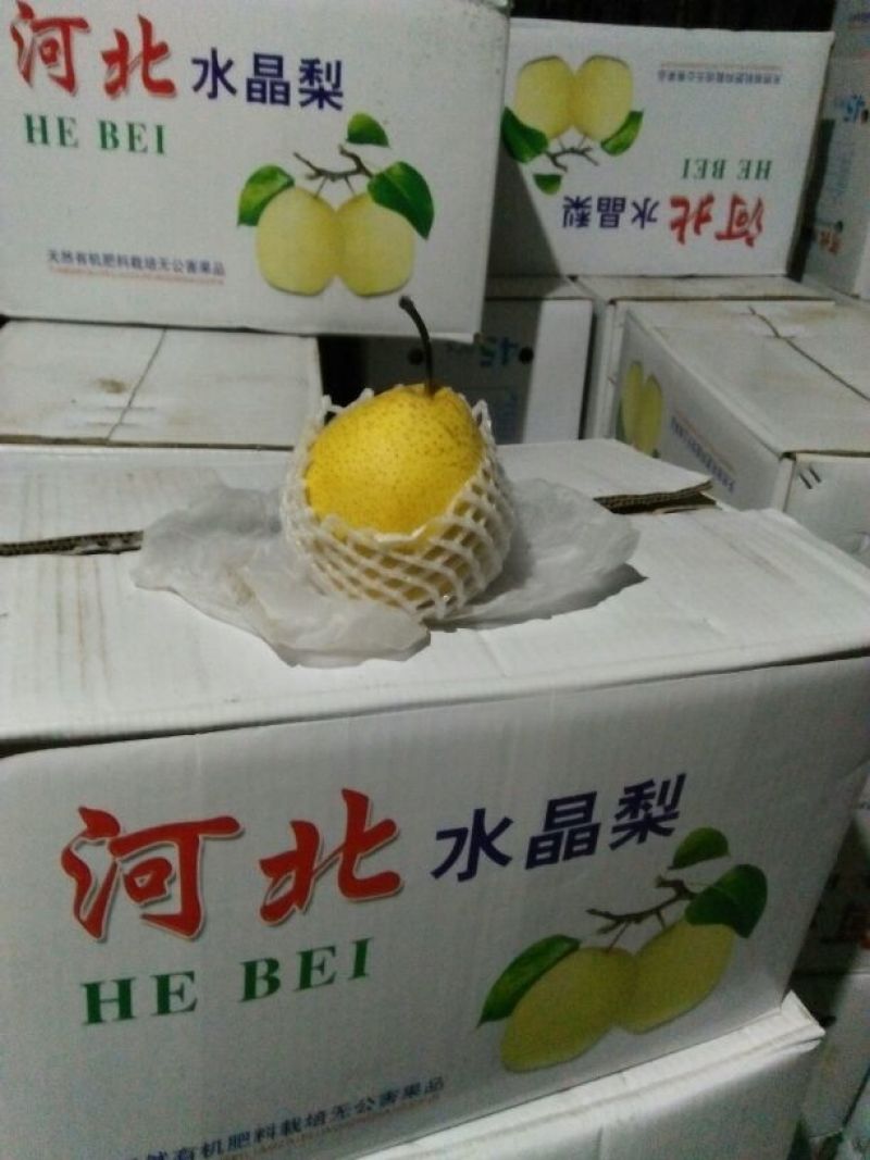 雪花梨350~400g纸袋