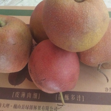冬雪红梨150~200g纸箱