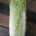 大白菜4~6斤