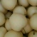 河北石家庄赵县皇冠梨250~400g纸袋精品