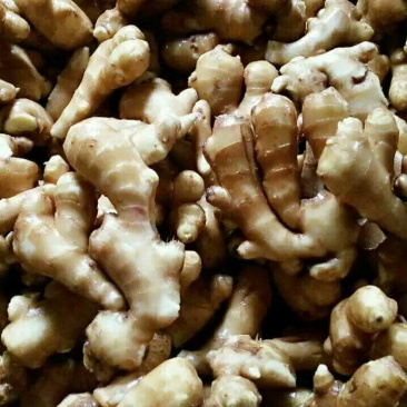 小黄姜3两以上水洗
