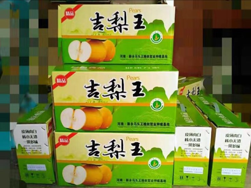 晚秋黄梨