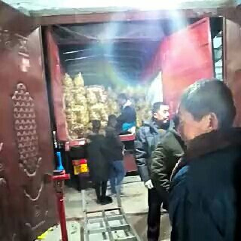 沾化冬枣拐三，电商对接一件代发，供应全国市场电商