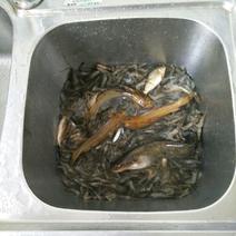 河虾干河虾26~30只/kg