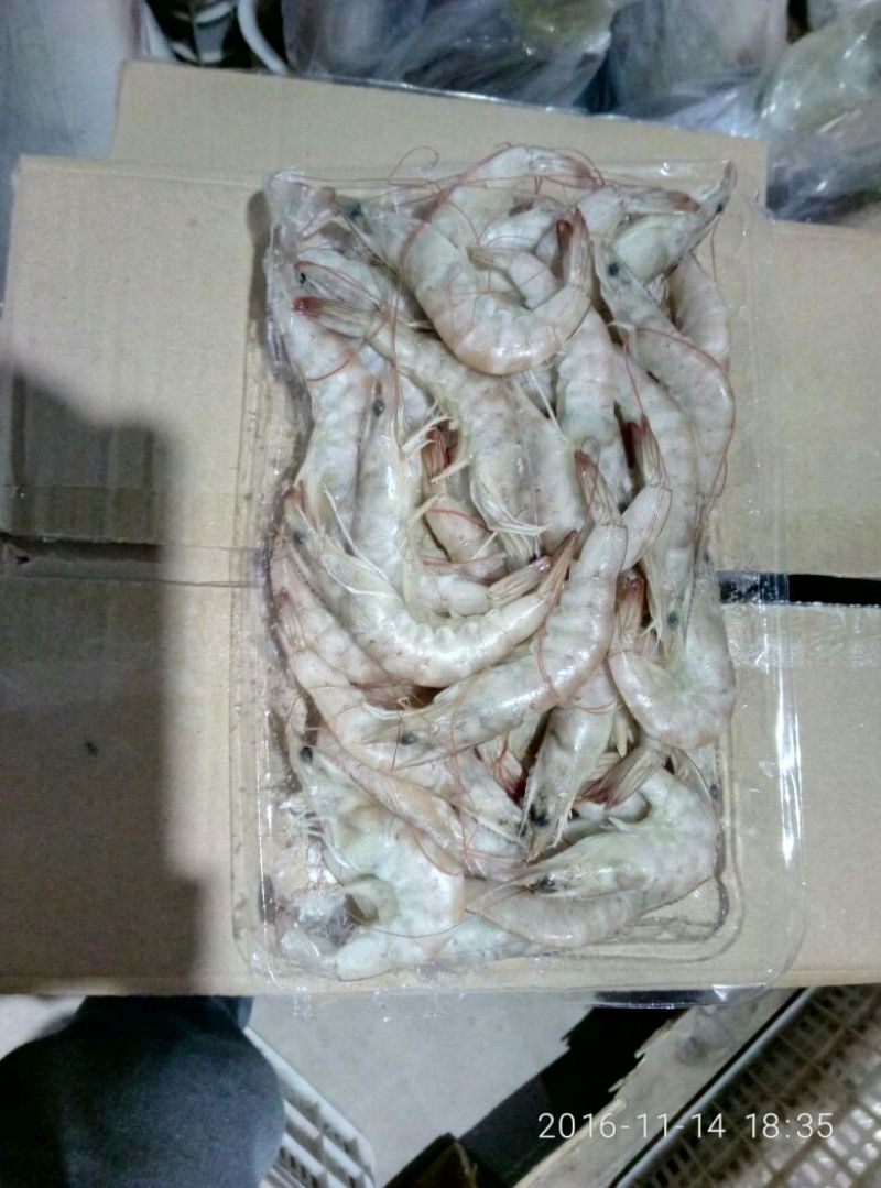 青虾食用13~15只/kg