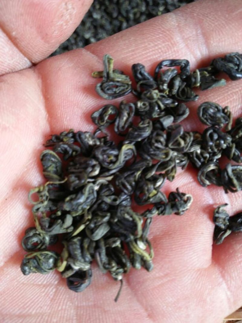 石阡苔茶特级