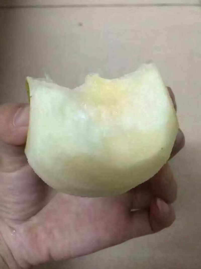 礼泉酥梨