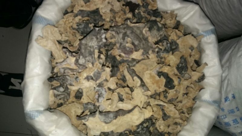 毛木耳一级
