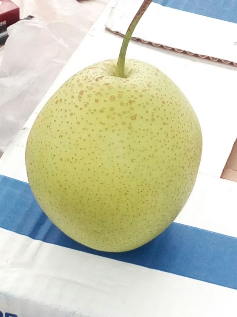 雪花梨膜袋100~150g