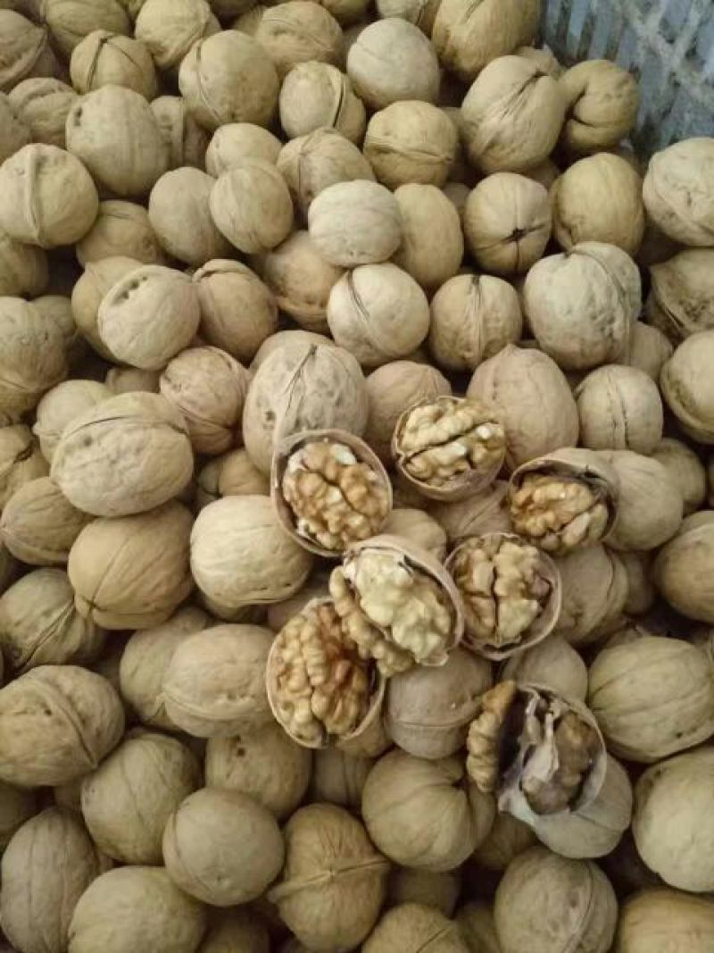 薄皮核桃30mm以上去皮