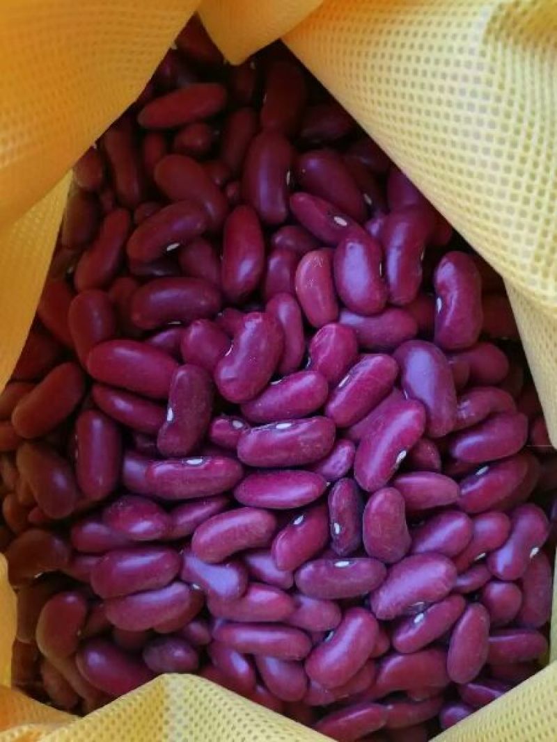 红豆散装