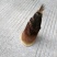 春笋10~15cm15~20cm20~25cm25~