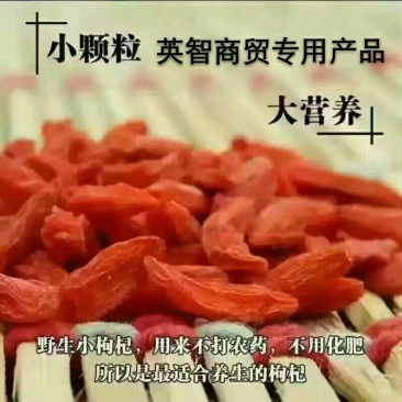 枸杞