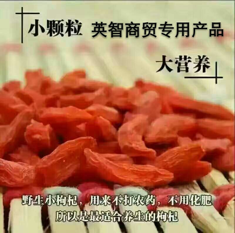枸杞