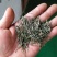 石阡苔茶特级