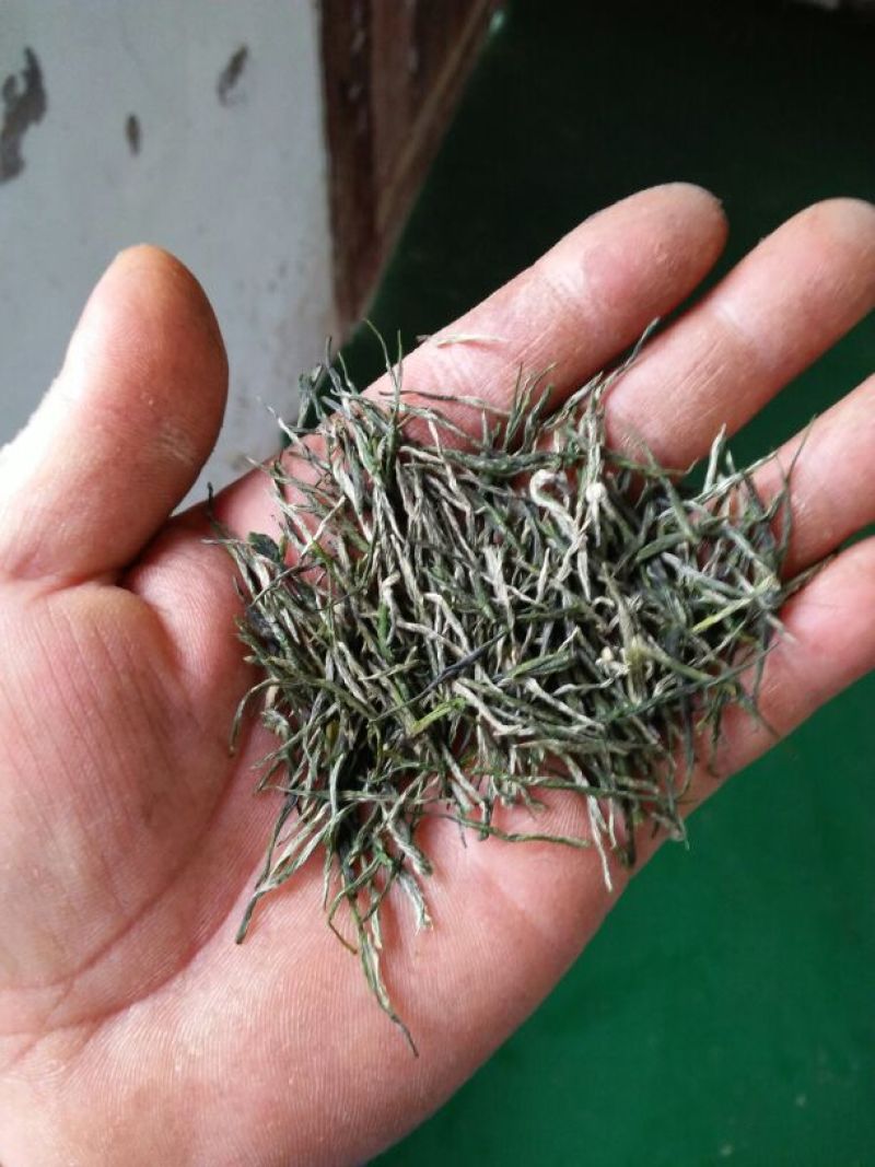 石阡苔茶特级