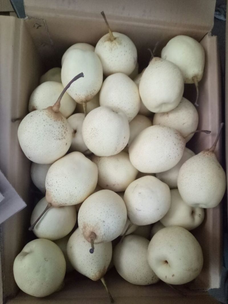 鸭梨纸箱