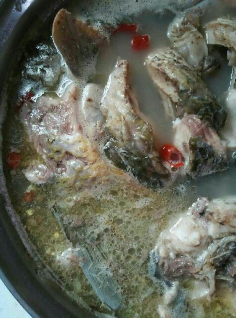 河鲤鱼食用0.5~1公斤