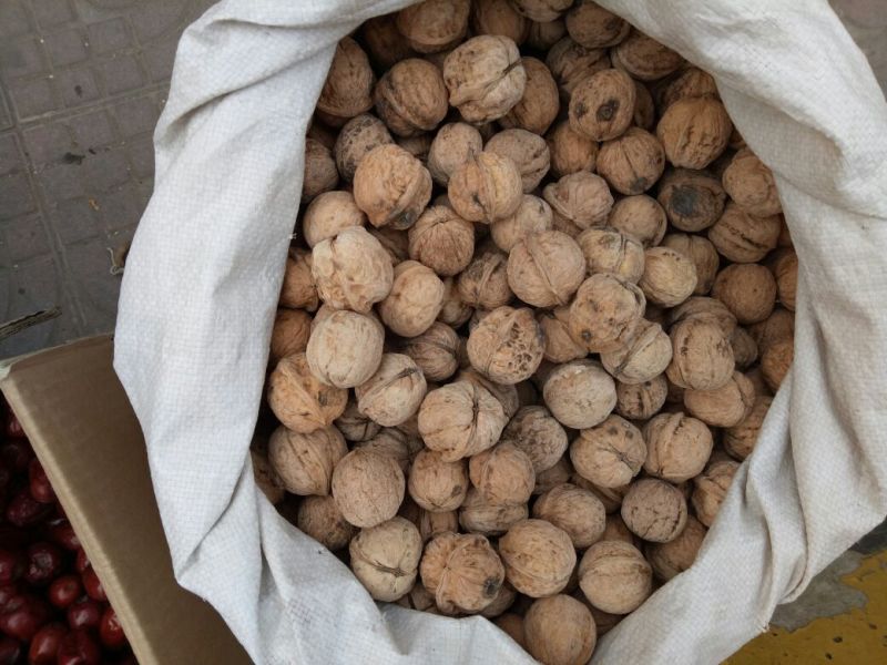 绵核桃25mm以下去皮干