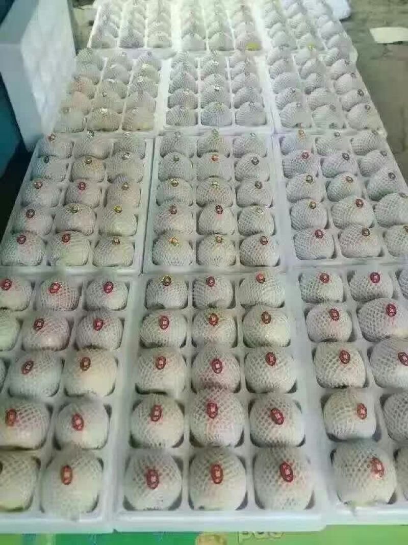 砀山梨250~300g纸加膜
